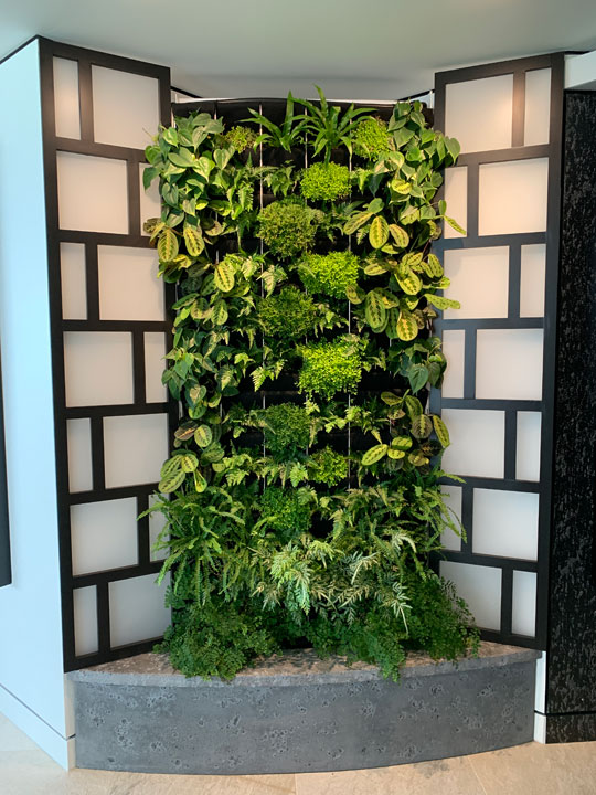 Interior view of living wall