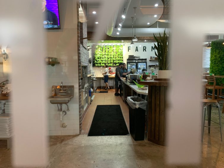 View of Basil Living Wall in Flash Fire Pizza Boca Raton